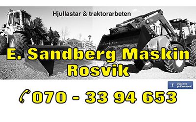 E. Sandberg Maskin