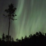 Foto: Anders Eriksson