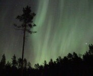 Aurora Borealis Foto: Anders Eriksson