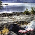 Foto: Anders Eriksson
