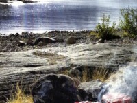 Foto: Anders Eriksson