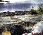 Grillning vid havet Foto: Anders Eriksson