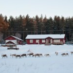 Foto: Marit Johansson