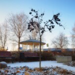En del av parken i Rosviks Centrum Foto: Mikael Krona